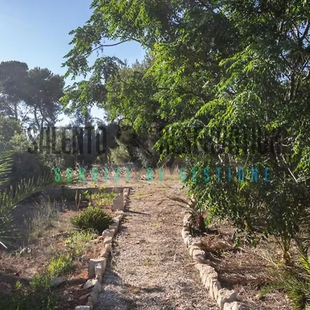 Trullo Rizzelli Дом отдыха Торре-Суда